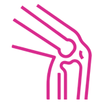 bone-muscle