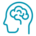 brain