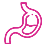 digestive